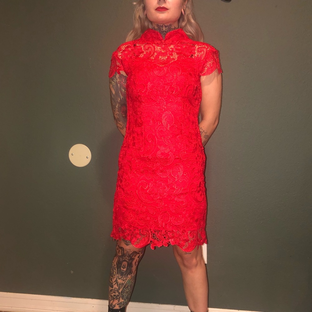 Asian dress.beautiful thick Embroidered